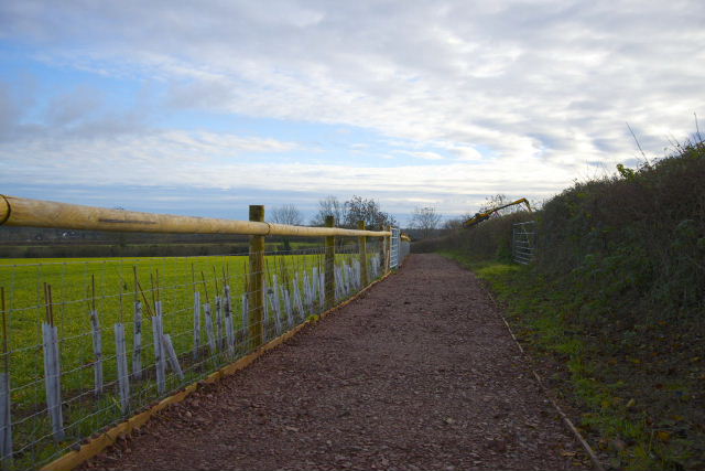 Tor Hill footpath, December 2013