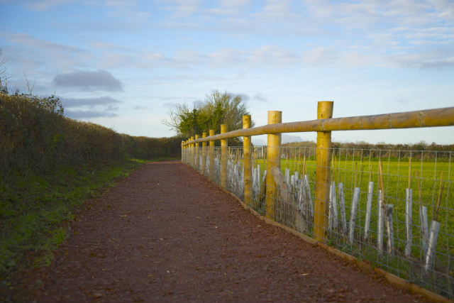 Tor Hill footpath, December 2013